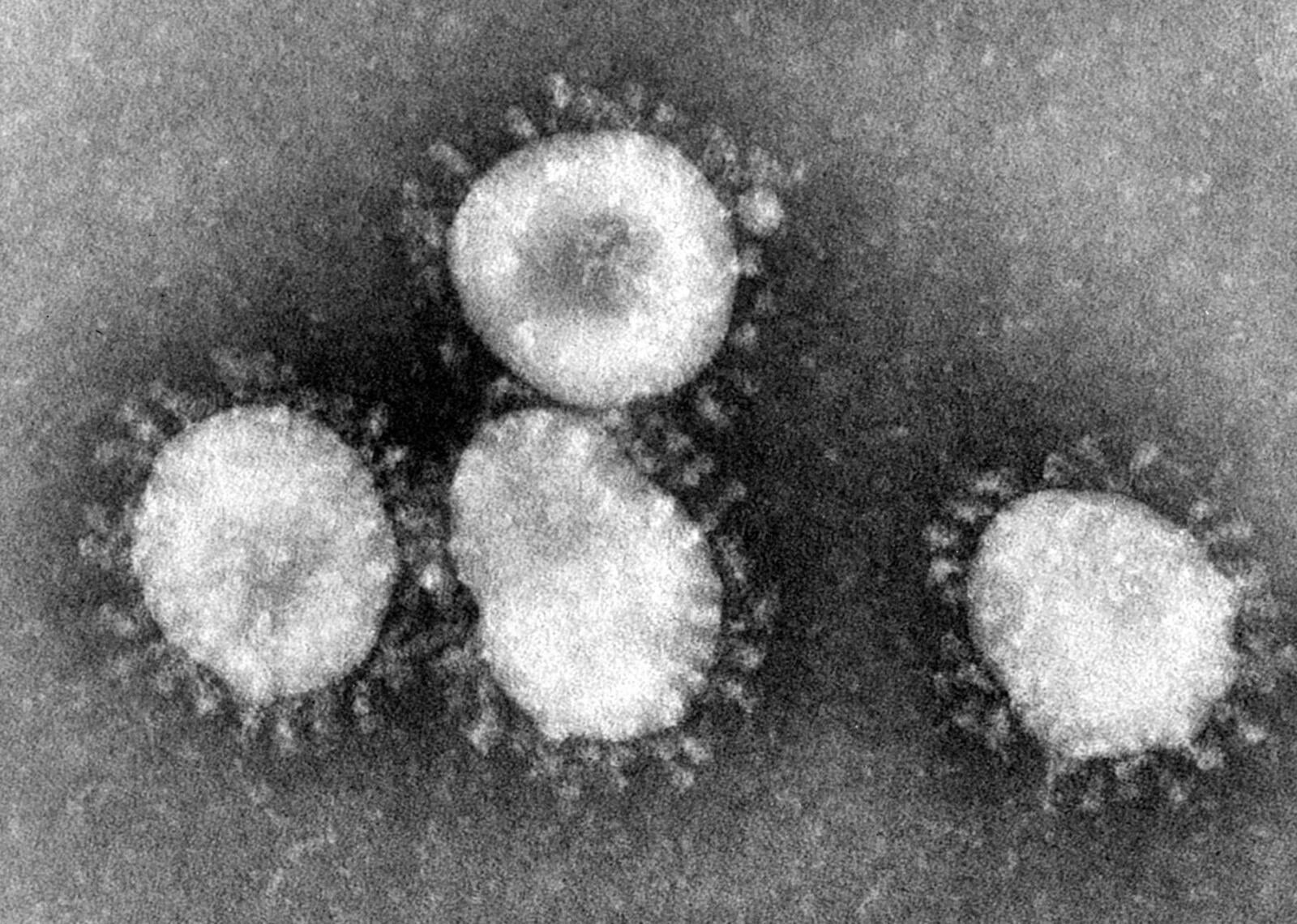 Coronavirus Preparedness Update